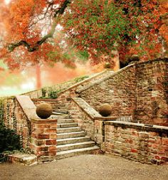 Back drop autumn